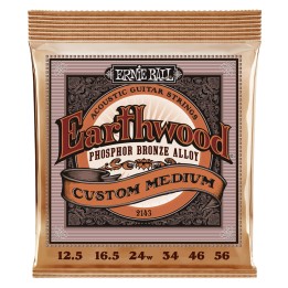 Acquista ERNIE BALL 2143 EARTHWOOD CUSTOM MEDIUM PHOSPHORE BRONZE online | Merula Strumenti Musicali