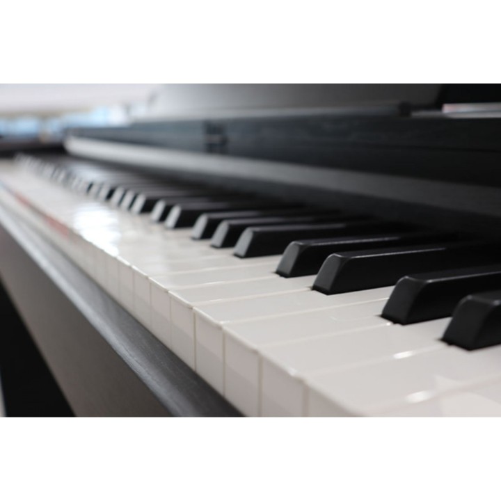 technopiano tp-300s bk pianoforte digitale portatile 88