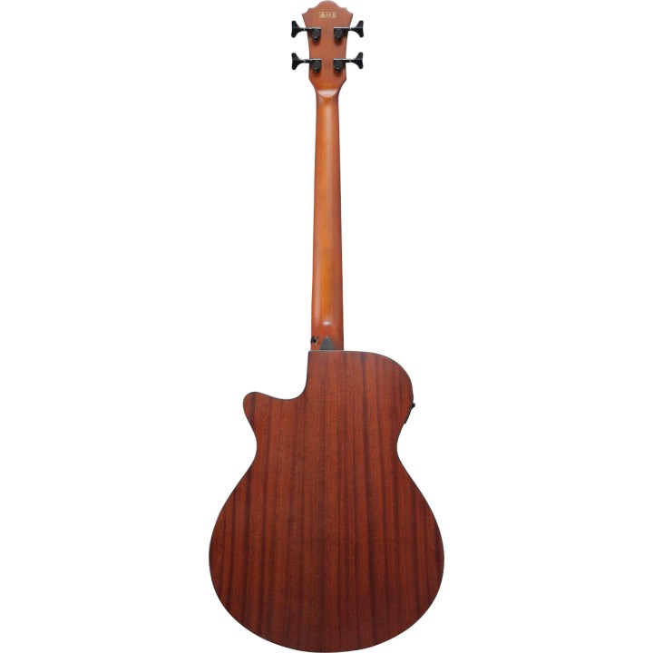 Acquista IBANEZ AEGB30ENTG online | Merula Strumenti Musicali