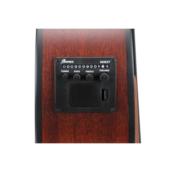 Acquista IBANEZ AEGB30ENTG online | Merula Strumenti Musicali