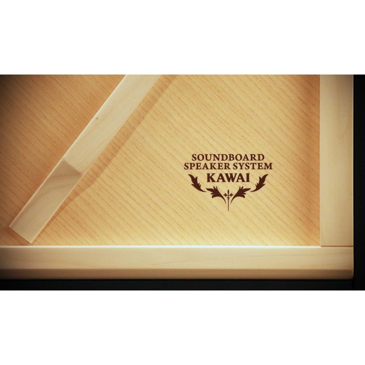 Kawai - Ca- 901 - Nero - Pianoforte Digitale