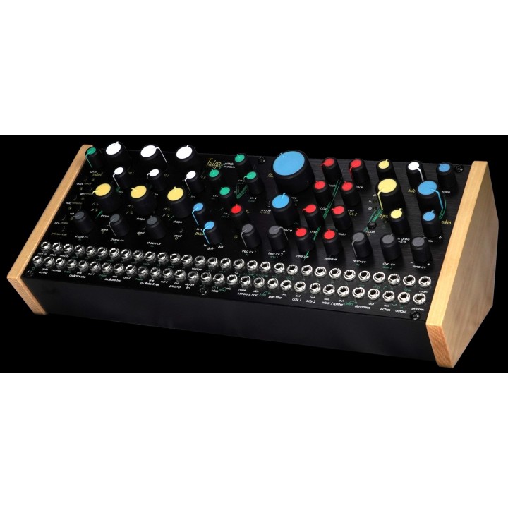 Acquista PITTSBURGH MODULAR SYNTHESIZERS TAIGA online | Merula Strumenti Musicali