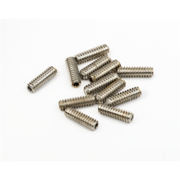 Acquista FENDER 0040800049 SCREW SET 6-32X7/16 HEX CP NI (12) online | Merula Strumenti Musicali