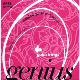 Acquista GALLI STRINGS GR65C online | Merula Strumenti Musicali