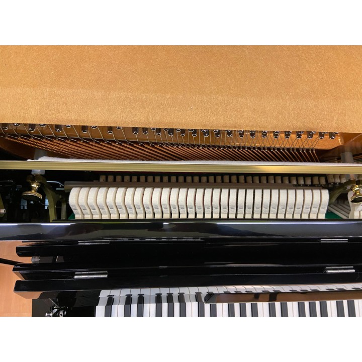 Acquista LIEDERMANN L109T SILENT online | Merula Strumenti Musicali
