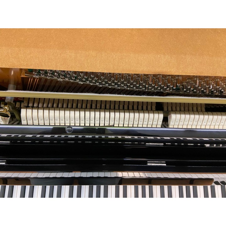 Acquista LIEDERMANN L109T SILENT online | Merula Strumenti Musicali