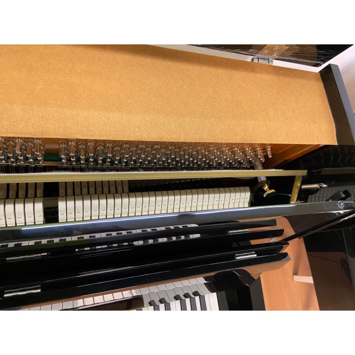Acquista LIEDERMANN L109T SILENT online | Merula Strumenti Musicali