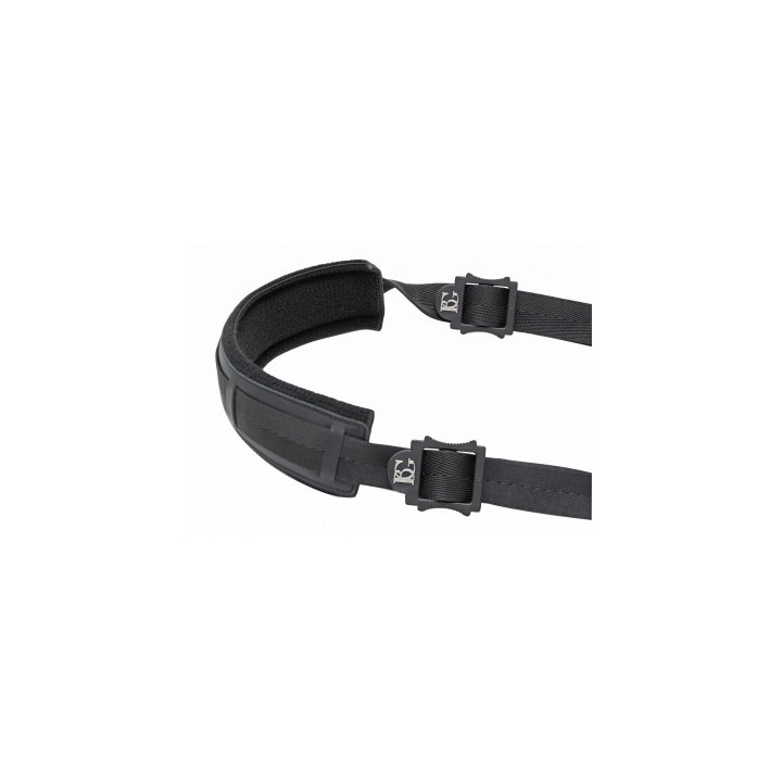 Acquista BG T03 SPALLIERA TUBA/EUFONIO DOPPIO ATTACCO Con lancetti e sistema a sgancio rapido online | Merula Strumenti Musicali