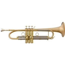 Acquista FIDES 8900MLL – Tromba siB Jazz I online | Merula Strumenti Musicali
