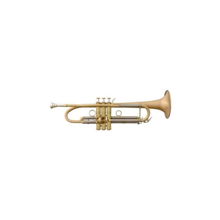 Acquista FIDES 8900MLL – Tromba siB Jazz I online | Merula Strumenti Musicali