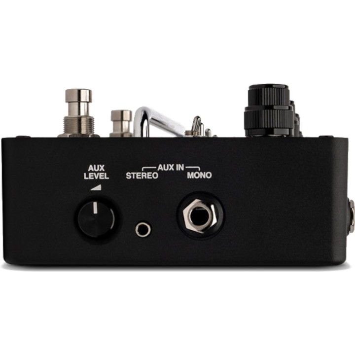AMPEG SGT-DI | Merula Strumenti Musicali