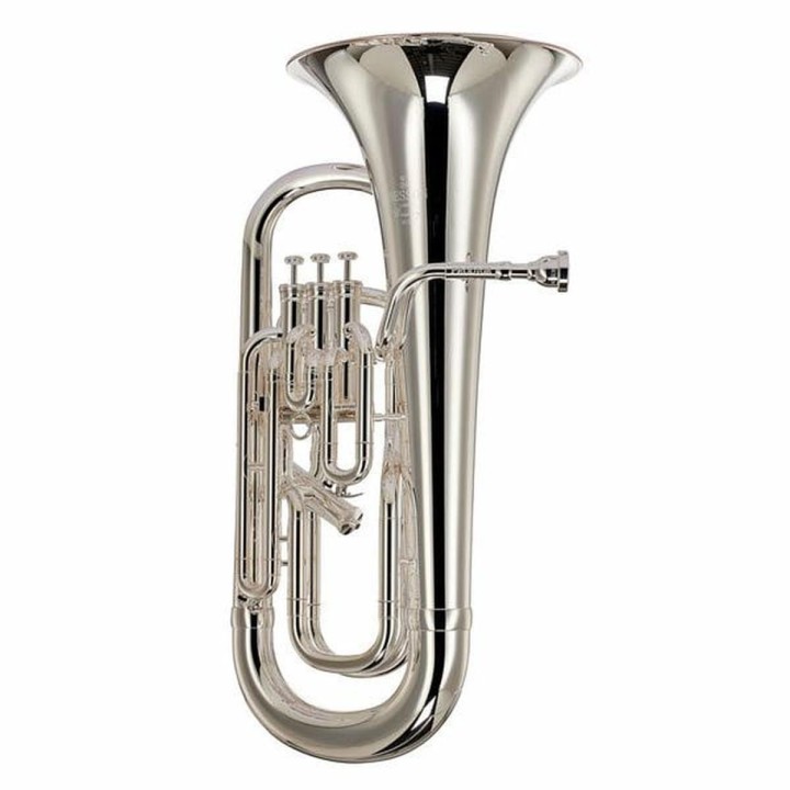 Acquista BESSON BE165-2-0 EUFONIO SIb online | Merula Strumenti Musicali
