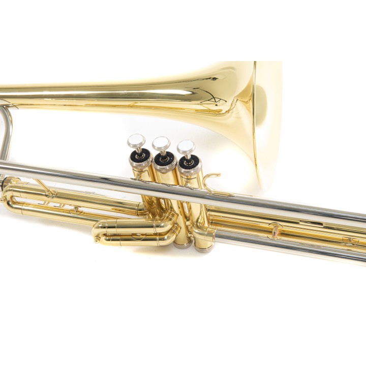 Acquista ROY BENSON TROMBONE PISTONI VT-227 online | Merula Strumenti Musicali