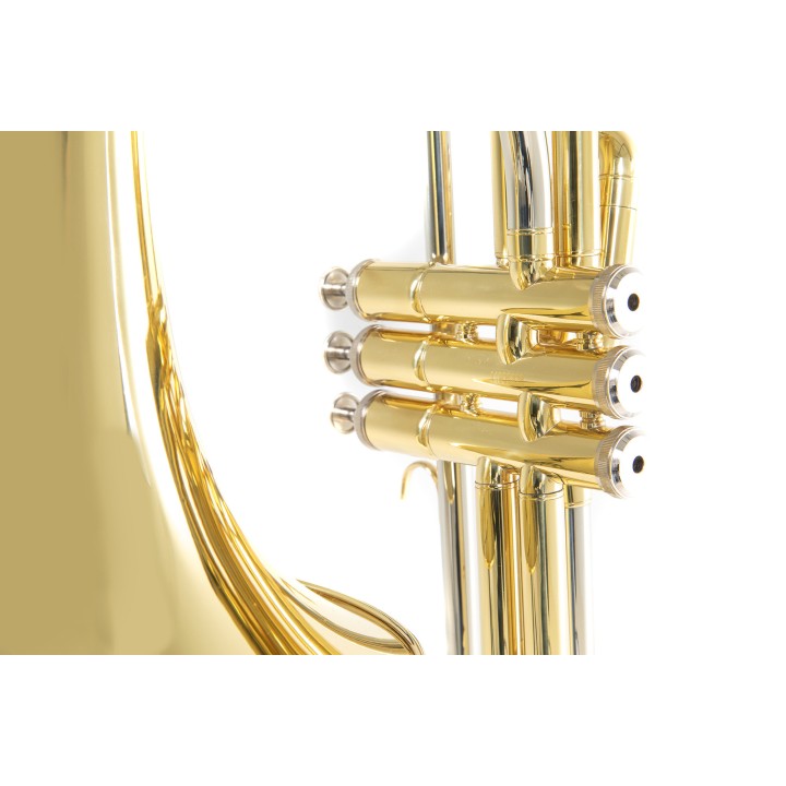 Acquista ROY BENSON TROMBONE PISTONI VT-227 online | Merula Strumenti Musicali