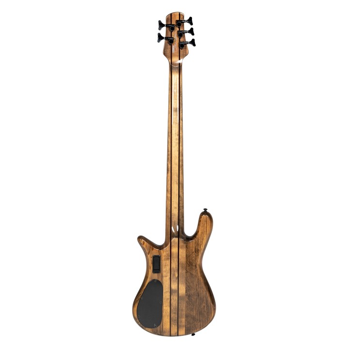 Acquista SPECTOR NS DIM 5 MS FADED BLACK GLOSS FISHMAN online | Merula Strumenti Musicali