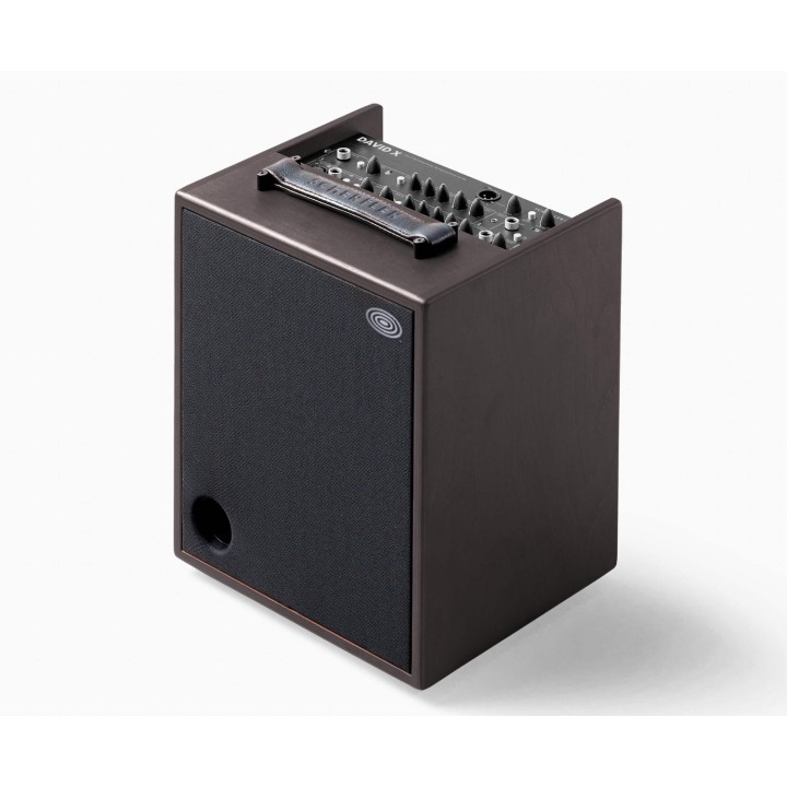 Acquista SCHERTLER A-DAVID-X 120W AMPLIFICATORE ACUSTICA online | Merula Strumenti Musicali