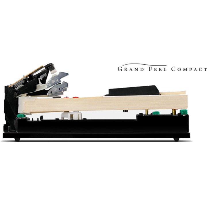 Kawai Ca501 Bianco Merula