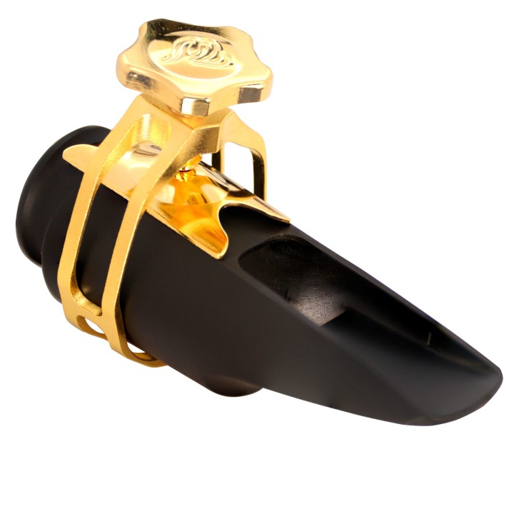 Acquista THEO WANNE BOCCHINO DURGA 5 SAX SOPRANO HR 8 online | Merula Strumenti Musicali
