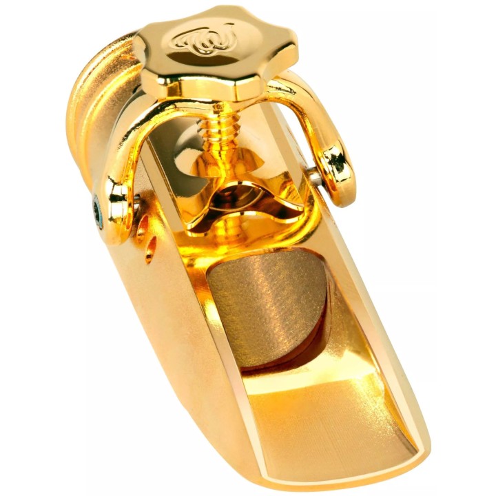 Acquista THEO WANNE BOCCHINO DURGA 5 SAX TENOR METAL GOLD #8 online | Merula Strumenti Musicali