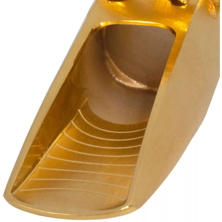 Acquista THEO WANNE BOCCHINO AMBIKA 4 SAX TENORE METAL GOLD 8 online | Merula Strumenti Musicali
