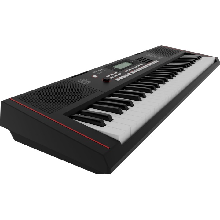 roland ex10 tastiera arranger