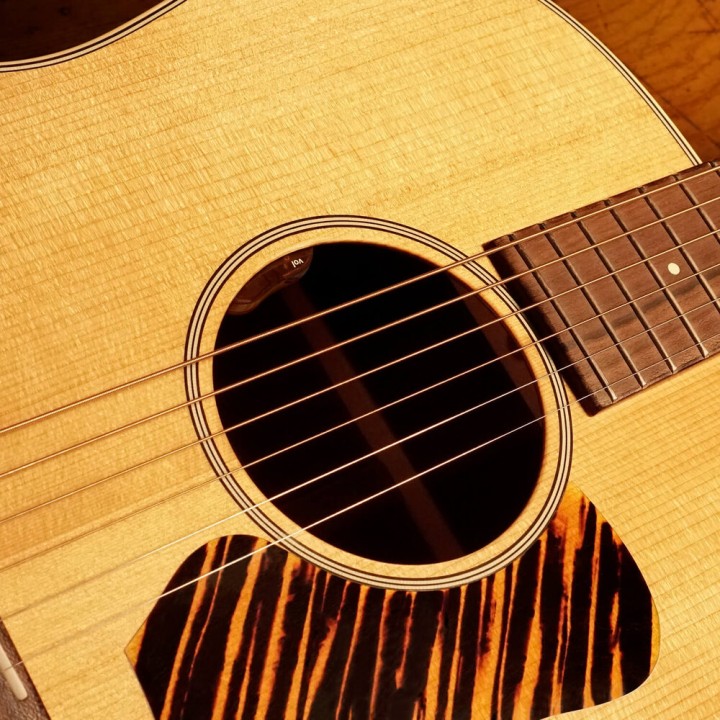 Acquista L. R. BAGGS Element Active System online | Merula Strumenti Musicali