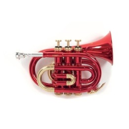 Acquista ROY BENSON PT-101R TROMBA POCKET SIb online | Merula Strumenti Musicali