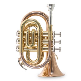 Acquista ROY BENSON PT-101G TROMBA POCKET SIb online | Merula Strumenti Musicali