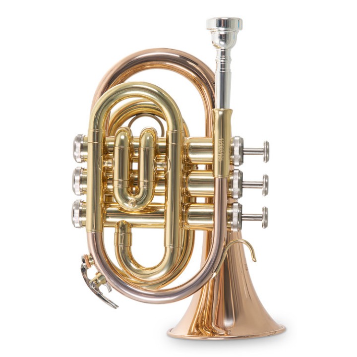 Acquista ROY BENSON PT-101G TROMBA POCKET SIb online | Merula Strumenti Musicali