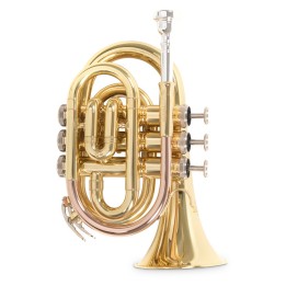 Acquista ROY BENSON PT-101 TROMBA POCKET SIb online | Merula Strumenti Musicali