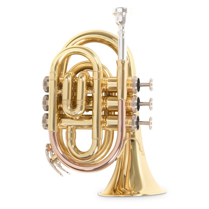 Acquista ROY BENSON PT-101 TROMBA POCKET SIb online | Merula Strumenti Musicali