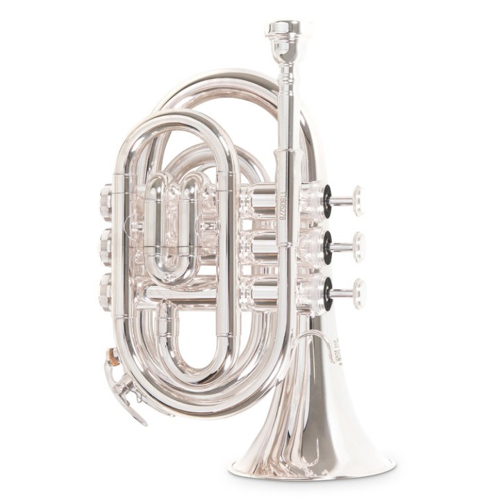 Acquista ROY BENSON PT-101S TROMBA POCKET SIb online | Merula Strumenti Musicali