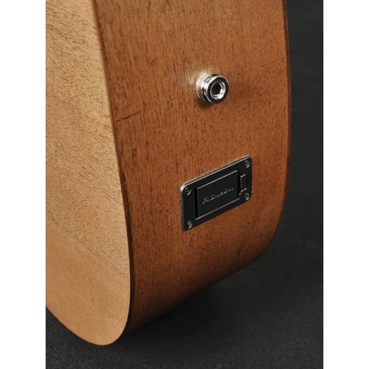 Acquista RICHWOOD A-50-Ce online | Merula Strumenti Musicali