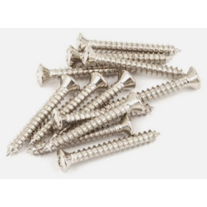 Acquista FENDER 0015636049 SCREW SM OV HD 8 X 1-3/4 (12) online | Merula Strumenti Musicali
