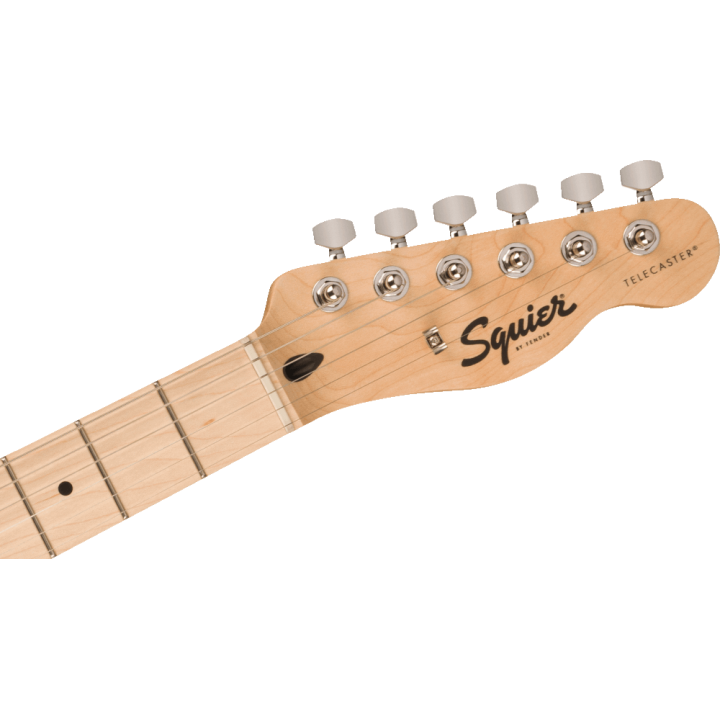 Acquista SQUIER Sonic Telecaster, Maple Fingerboard, Black Pickguard, Butterscotch Blonde online | Merula Strumenti Musicali