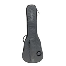 Acquista RITTER RGC3-L/EGR online | Merula Strumenti Musicali