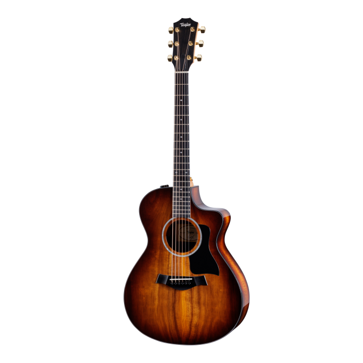 Taylor | 222CE-K DLX chitarra acustica amplificata
