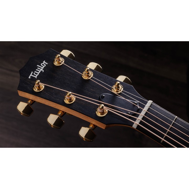 Taylor | 222CE-K DLX chitarra acustica amplificata