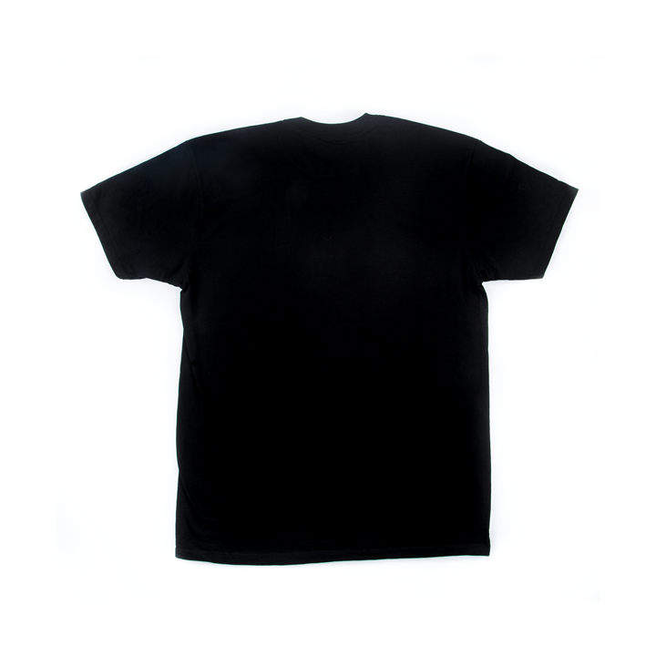 Acquista CHARVEL 0996827706 CHARVEL GTR LOGO TEE BLK L online | Merula Strumenti Musicali