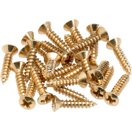 Acquista FENDER 0994924000 Pickguard Screws (Gold-24) online | Merula Strumenti Musicali