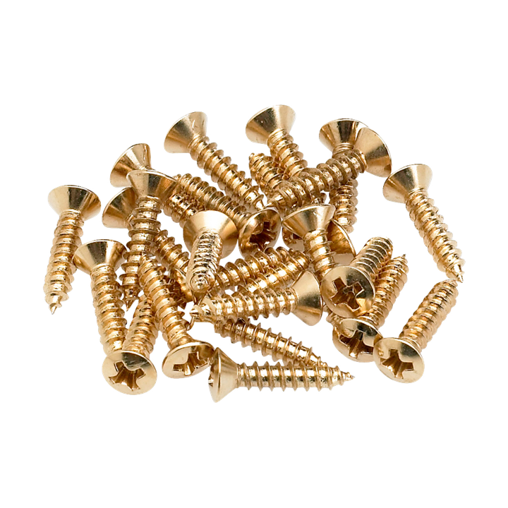 Acquista FENDER 0994924000 Pickguard Screws (Gold-24) online | Merula Strumenti Musicali