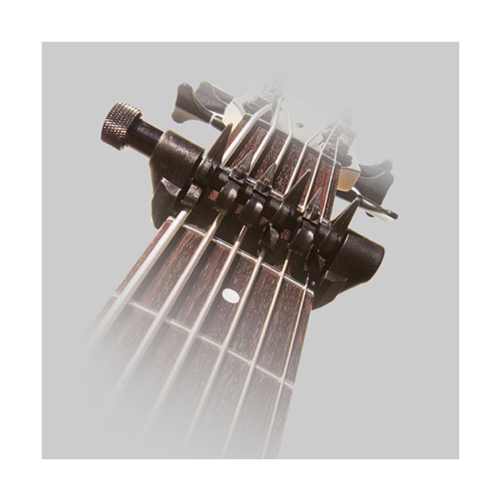 Acquista D'ANDREA DAND-SPD-XXL online | Merula Strumenti Musicali