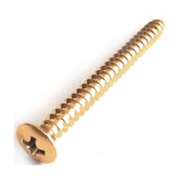 Acquista PARTS PLANET TS03GG online | Merula Strumenti Musicali
