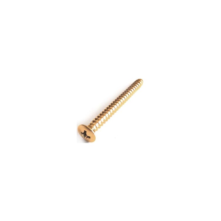 Acquista PARTS PLANET TS03GG online | Merula Strumenti Musicali