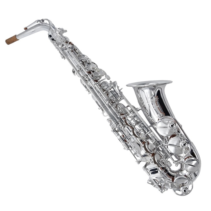 RIPAMONTI | 5030S