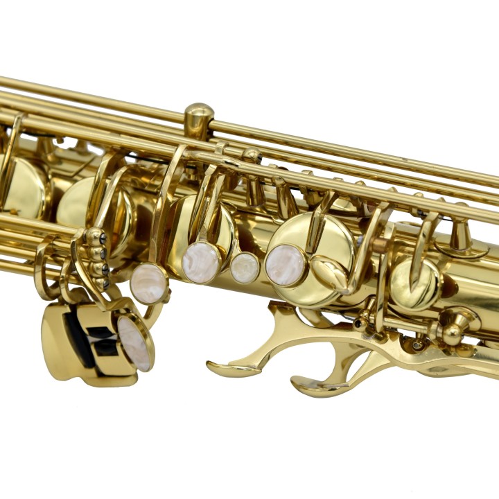 RIPAMONTI | 5040 MASTER