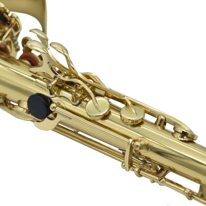RIPAMONTI | 5040 MASTER