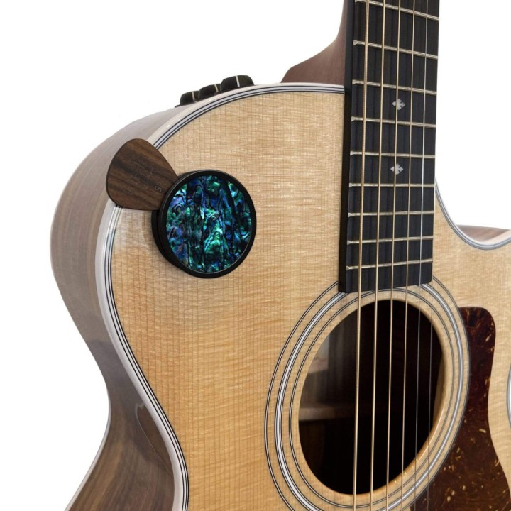 Thalia Pick puck blue abalone:  Porta plettri per strumenti a corda