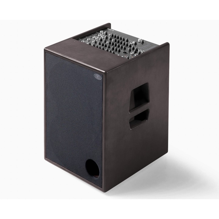 Acquista SCHERTLER A-ROY-X-WOOD AMPLIFICATORE ACUSTICA online | Merula Strumenti Musicali