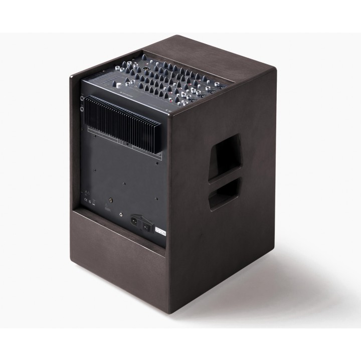 Acquista SCHERTLER A-ROY-X-WOOD AMPLIFICATORE ACUSTICA online | Merula Strumenti Musicali